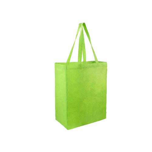 Bolsa Ecologica Environment